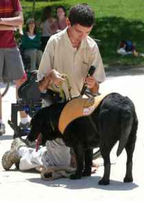 discapacitado ayudado por un perro