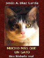 Portada libro gato